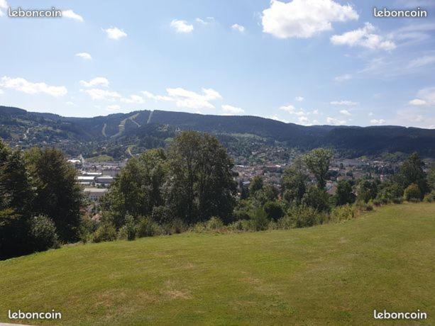 Apartement Sur Les Hauteurs De Gerardmer Avec Une Superbe Vue Buitenkant foto